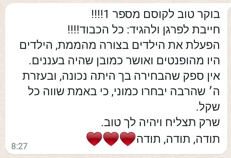 המלצה 1
