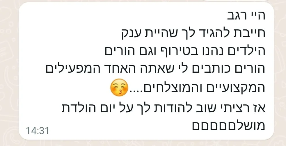 המלצה 14